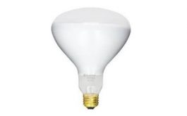 Bulb 300W / 12V [R40 flood lamp] for Amerlite